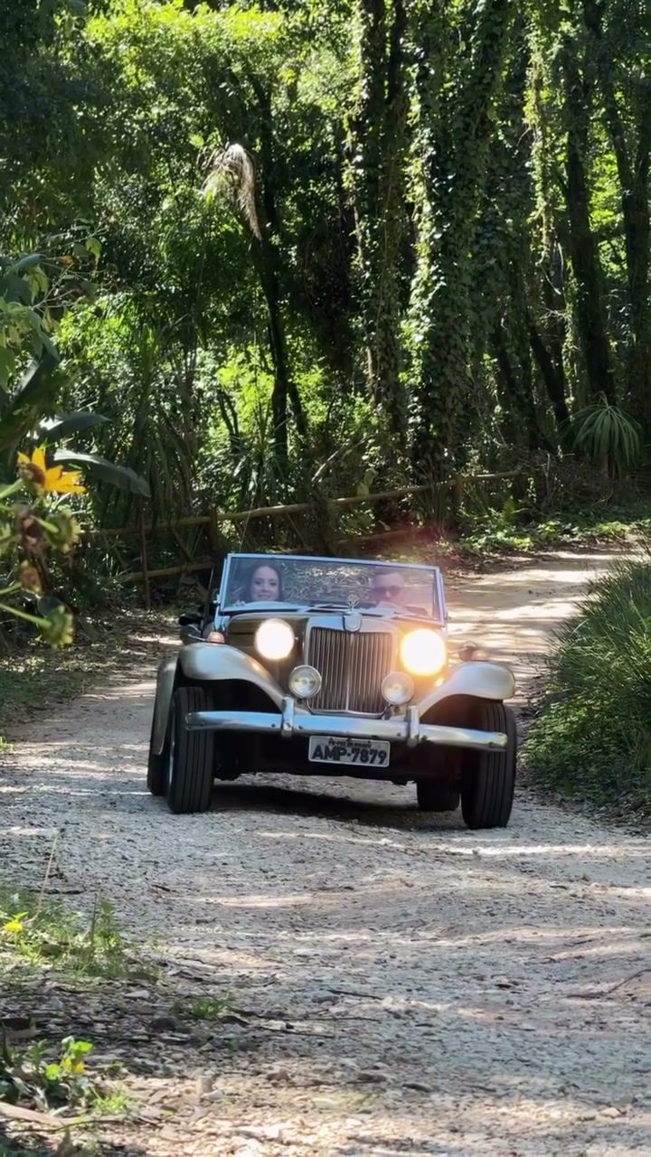 Carro antigo chegando pela estrada do bosque